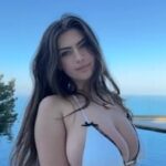 Colleen Sheehan leaks